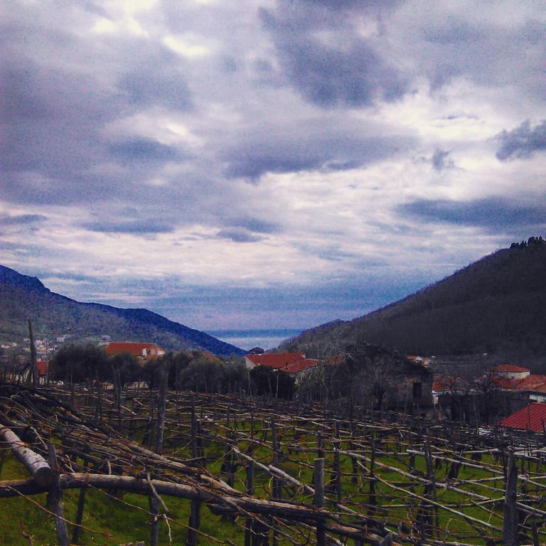 Gasthaus Agriturismo Mare E Monti Tramonti Exterior foto