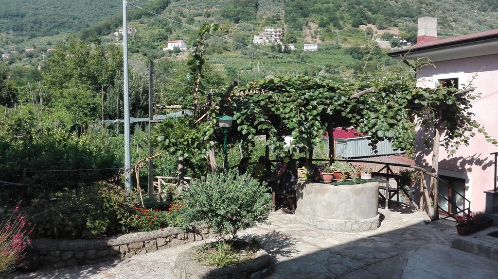 Gasthaus Agriturismo Mare E Monti Tramonti Exterior foto